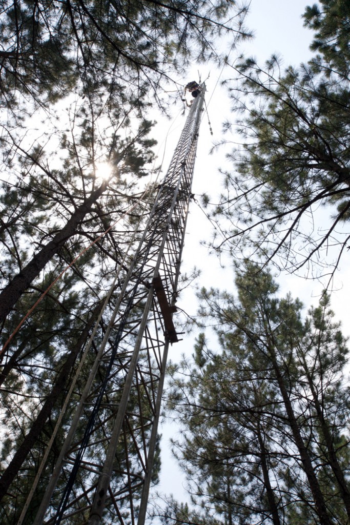 tower from ground